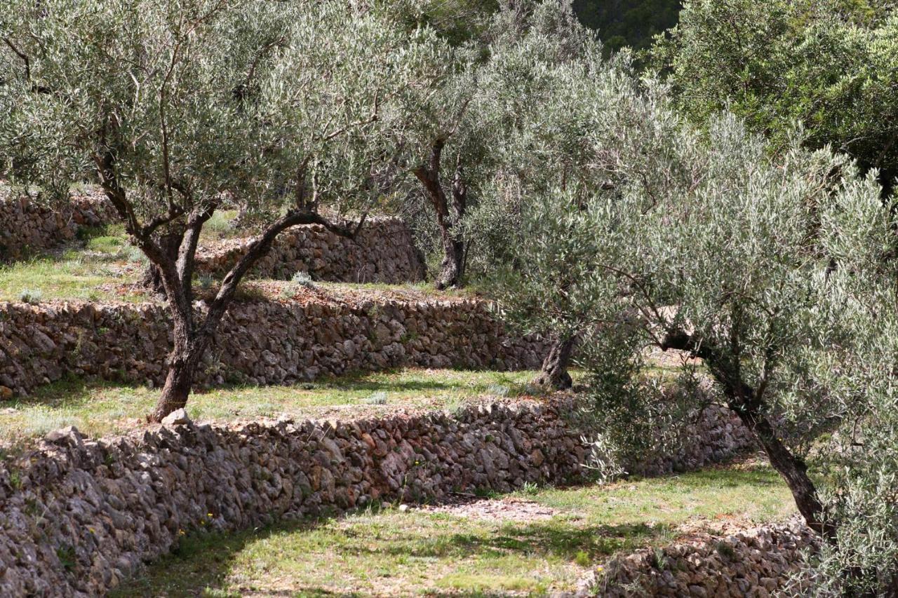 Villa Foia Vella - Adults Only Benigembla Exterior photo
